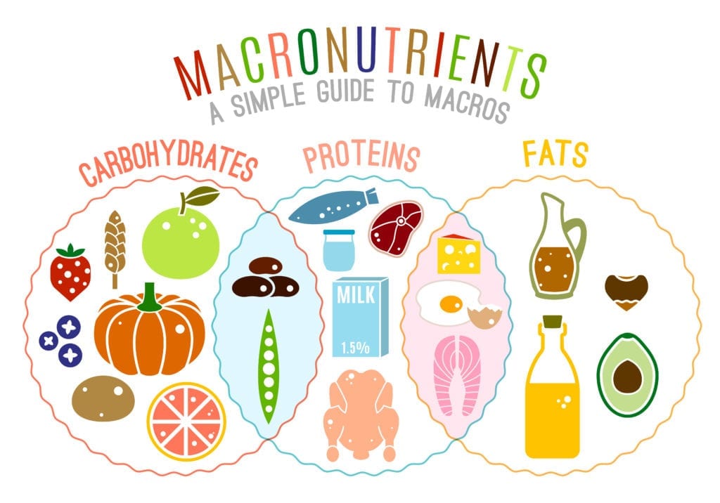 macros, macronutrients, supplement